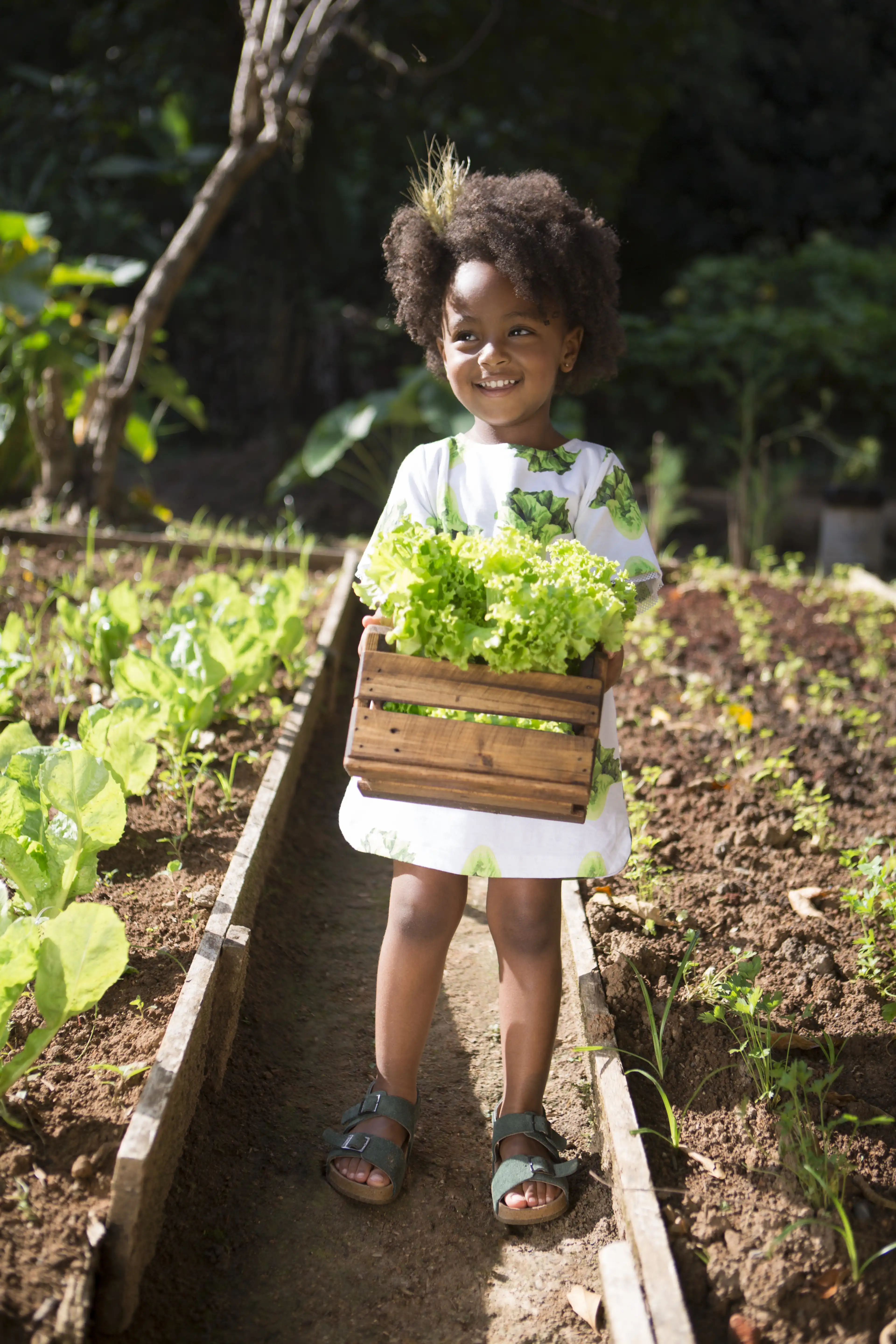 Campanhas Editoriais